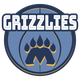 灰熊logo