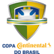 巴西杯资料库