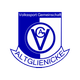 艾尔格里尼克logo