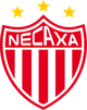 内卡萨女足logo