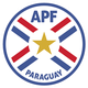 巴拉圭女足logo