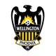 威灵顿凤凰后备队logo